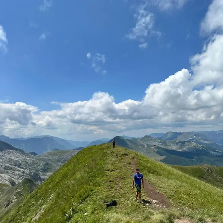 90pods & C O Working Auberge de jeunesse Shkodër