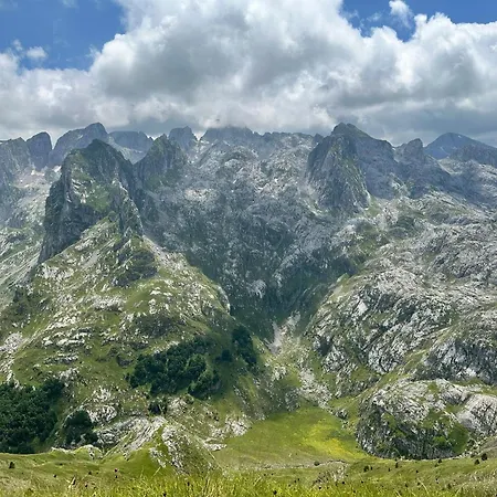 אכסניה 90pods & C O Working *