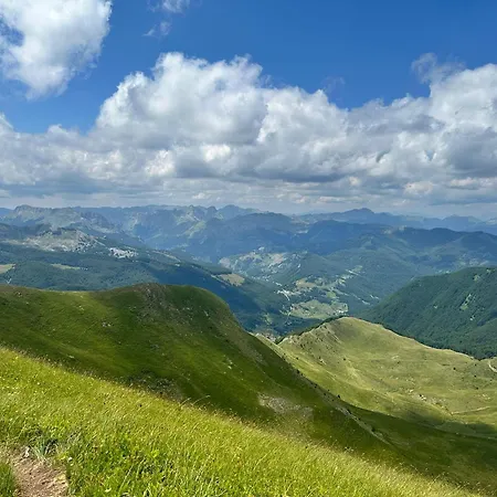 90pods & C O Working Shkodër