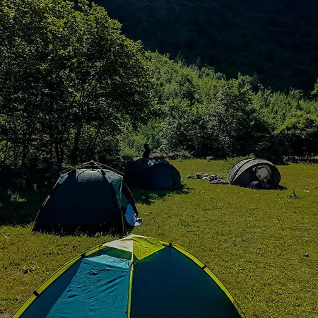 90pods & C O Working Auberge de jeunesse *