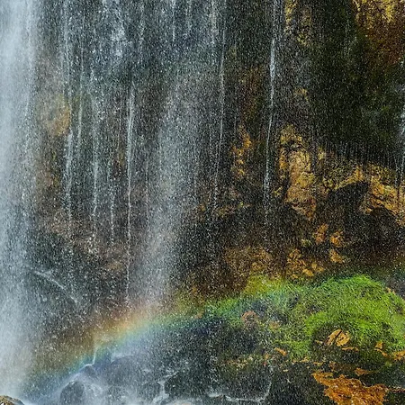 90pods & C O Working Auberge de jeunesse Shkodër