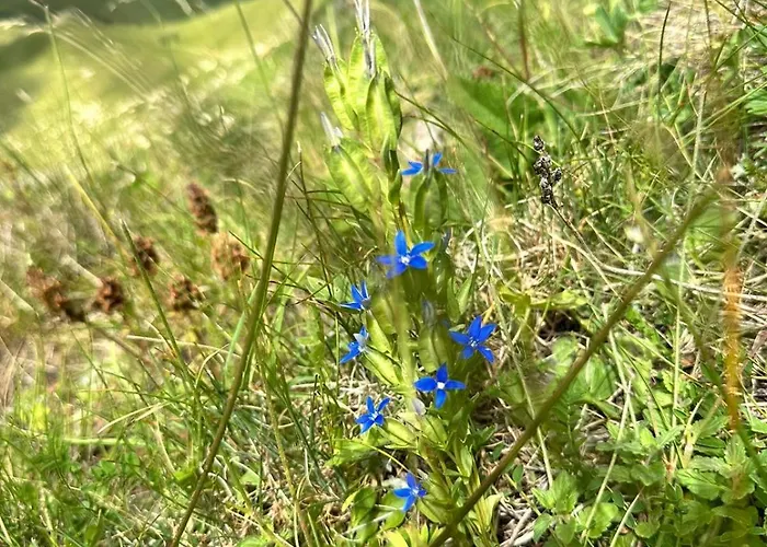 90pods & C O Working *