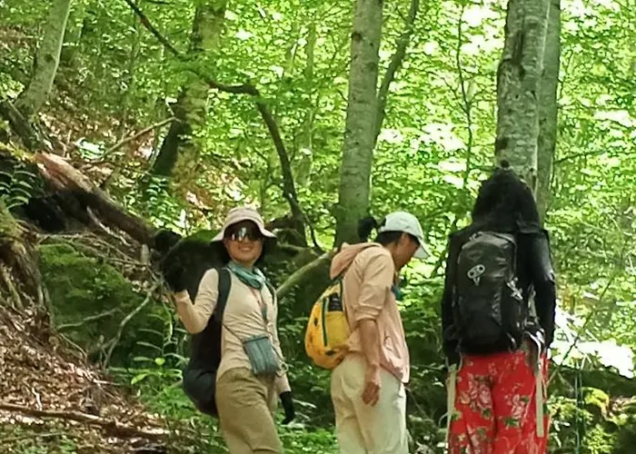 אכסניה 90pods & C O Working שקודר