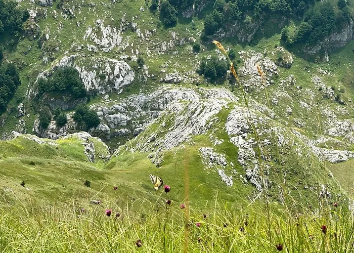 90pods & C O Working *