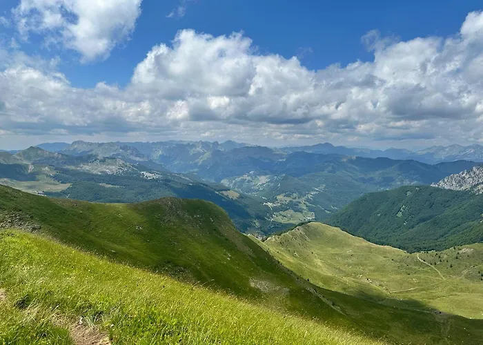 90pods & C O Working שקודר