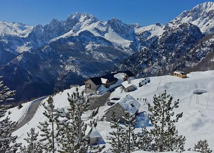 90pods & C O Working * Shkodër