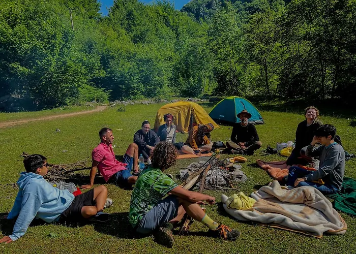 90pods & C O Working Shkodër