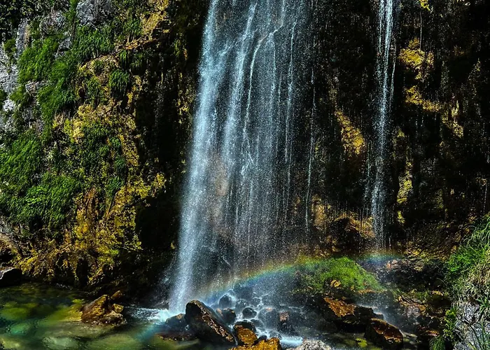 90pods & C O Working שקודר