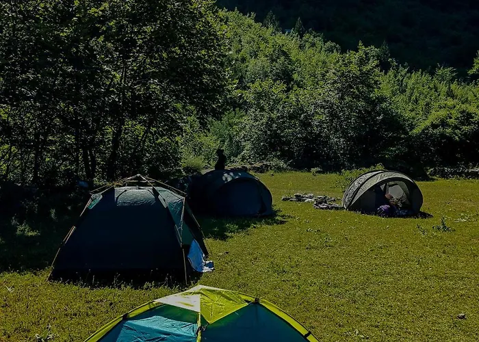 90pods & C O Working אכסניה *