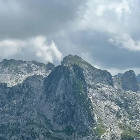 ホステル 90pods & C O Working Shkodër