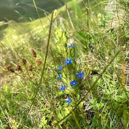 90pods & C O Working *