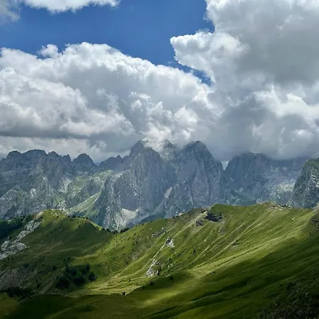 90pods & C O Working Shkodër
