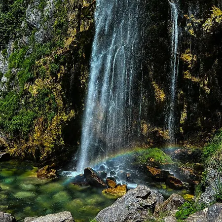 90pods & C O Working Shkodër