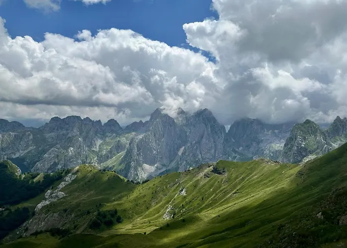90pods & C O Working Shkodër