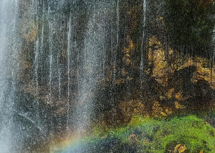 90pods & C O Working 旅馆 Shkodër